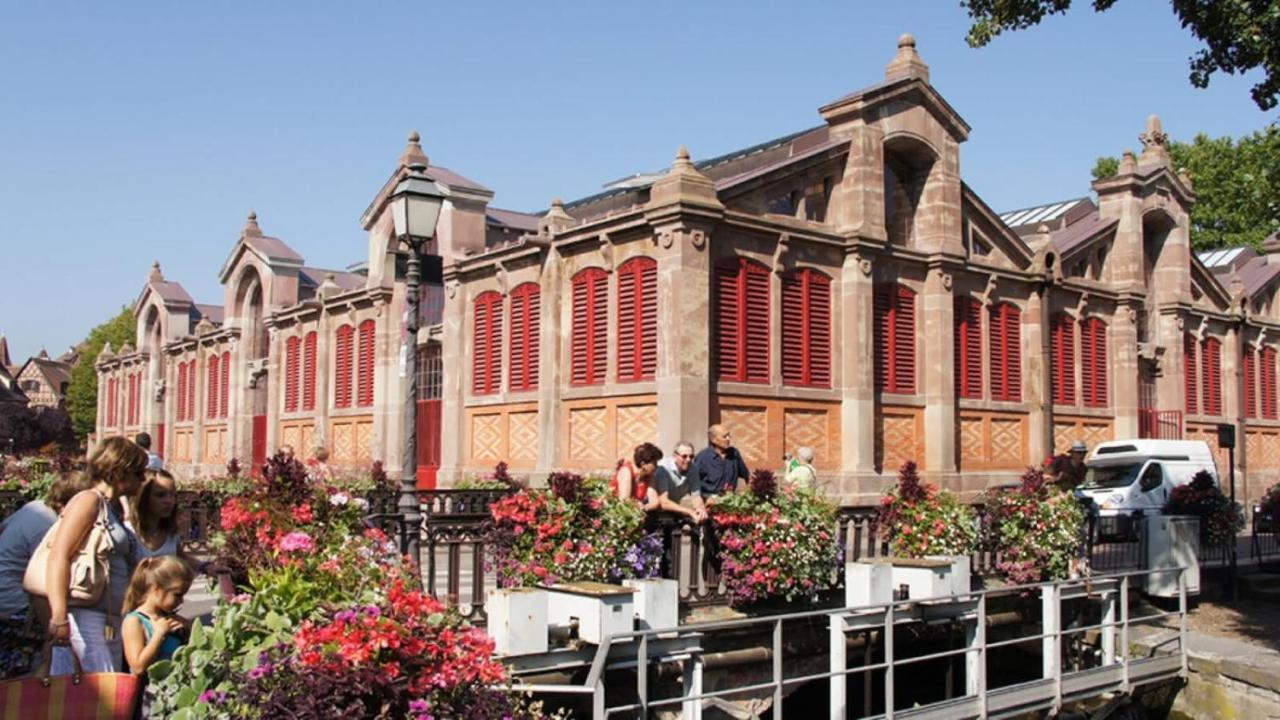 Apartamento Historic Center - Belle Alsace - 1 Terrasse - Bookingalsace